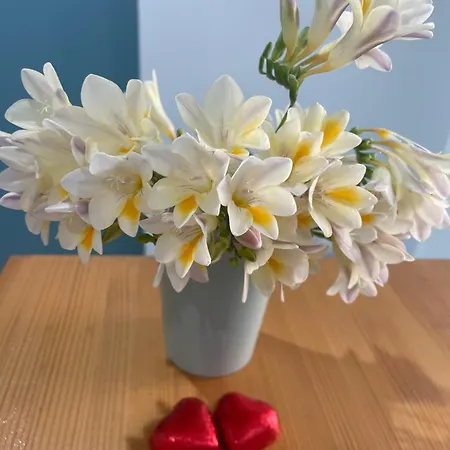 Casa Solmes Guesthouse-2